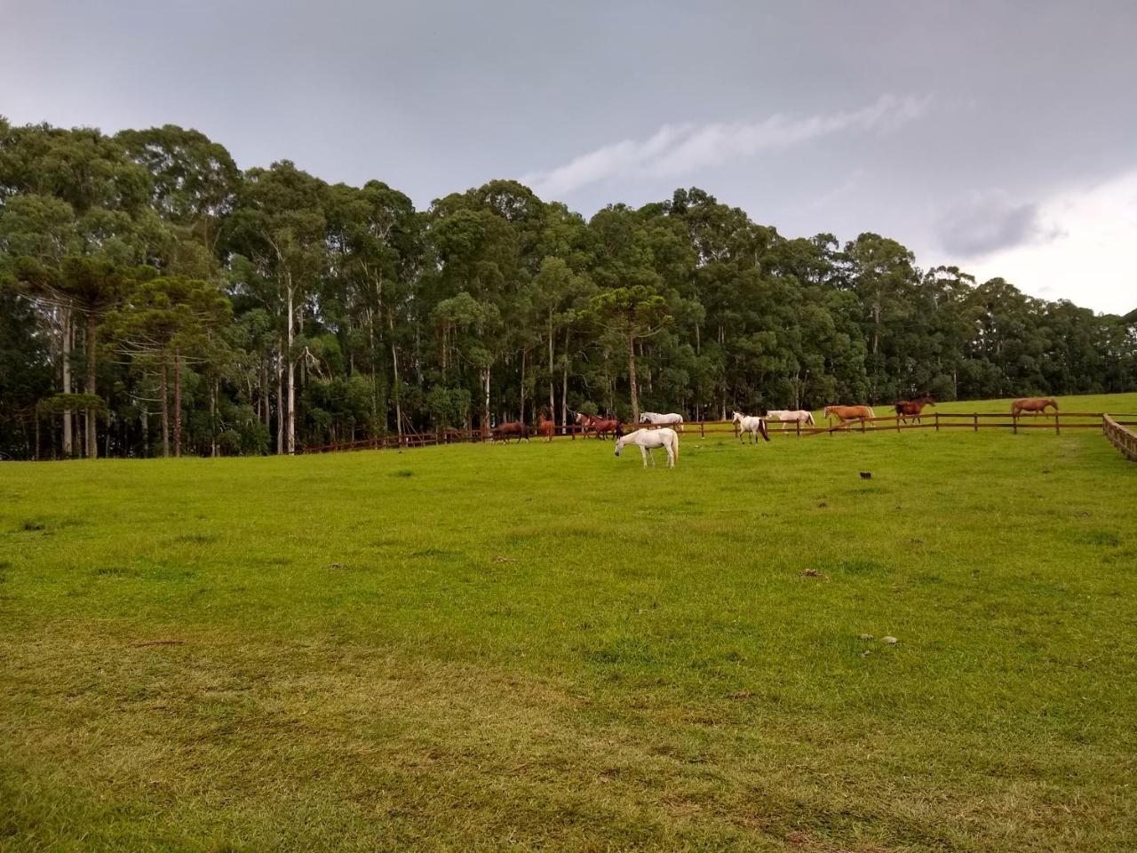 Hotel Sitio Rancho Crioulo Urubici Zewnętrze zdjęcie